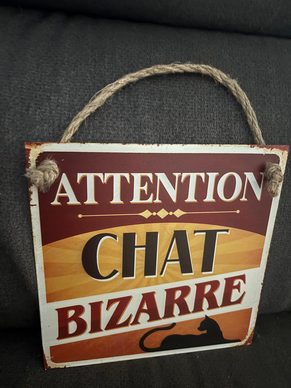 Plaque chat