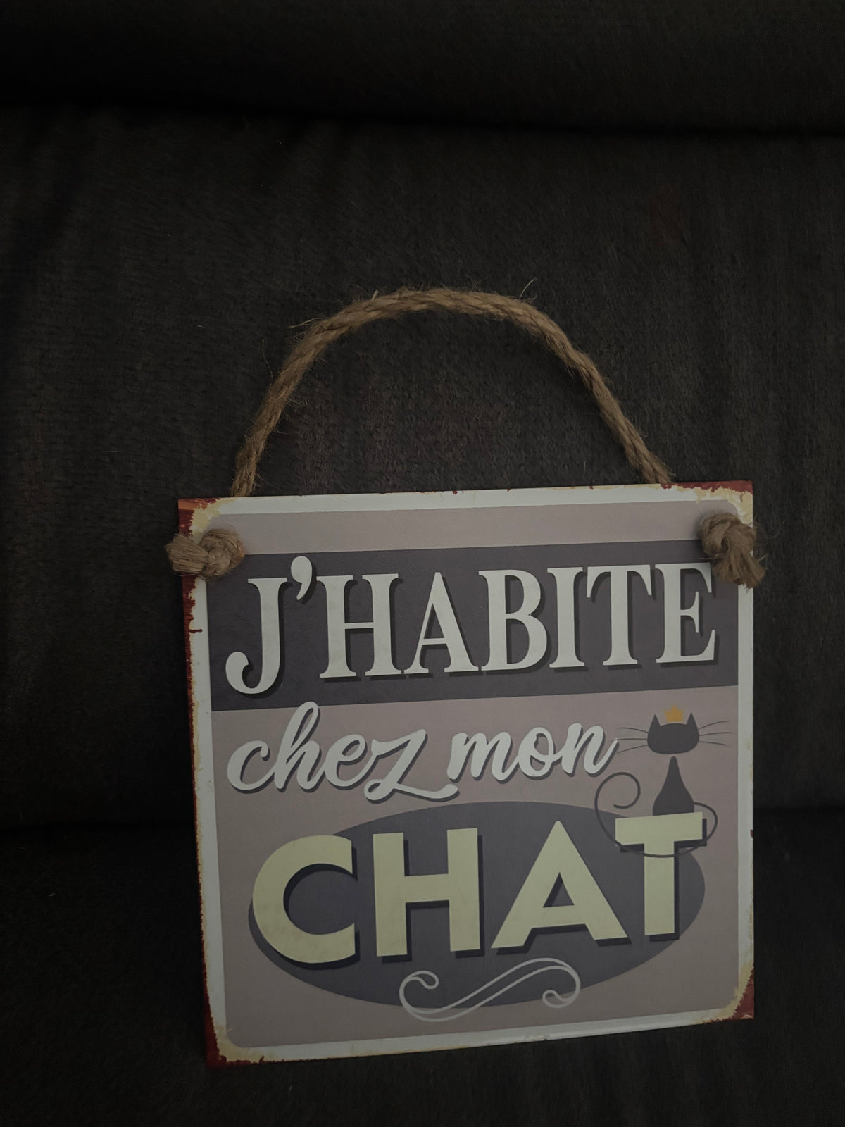 Plaque chat