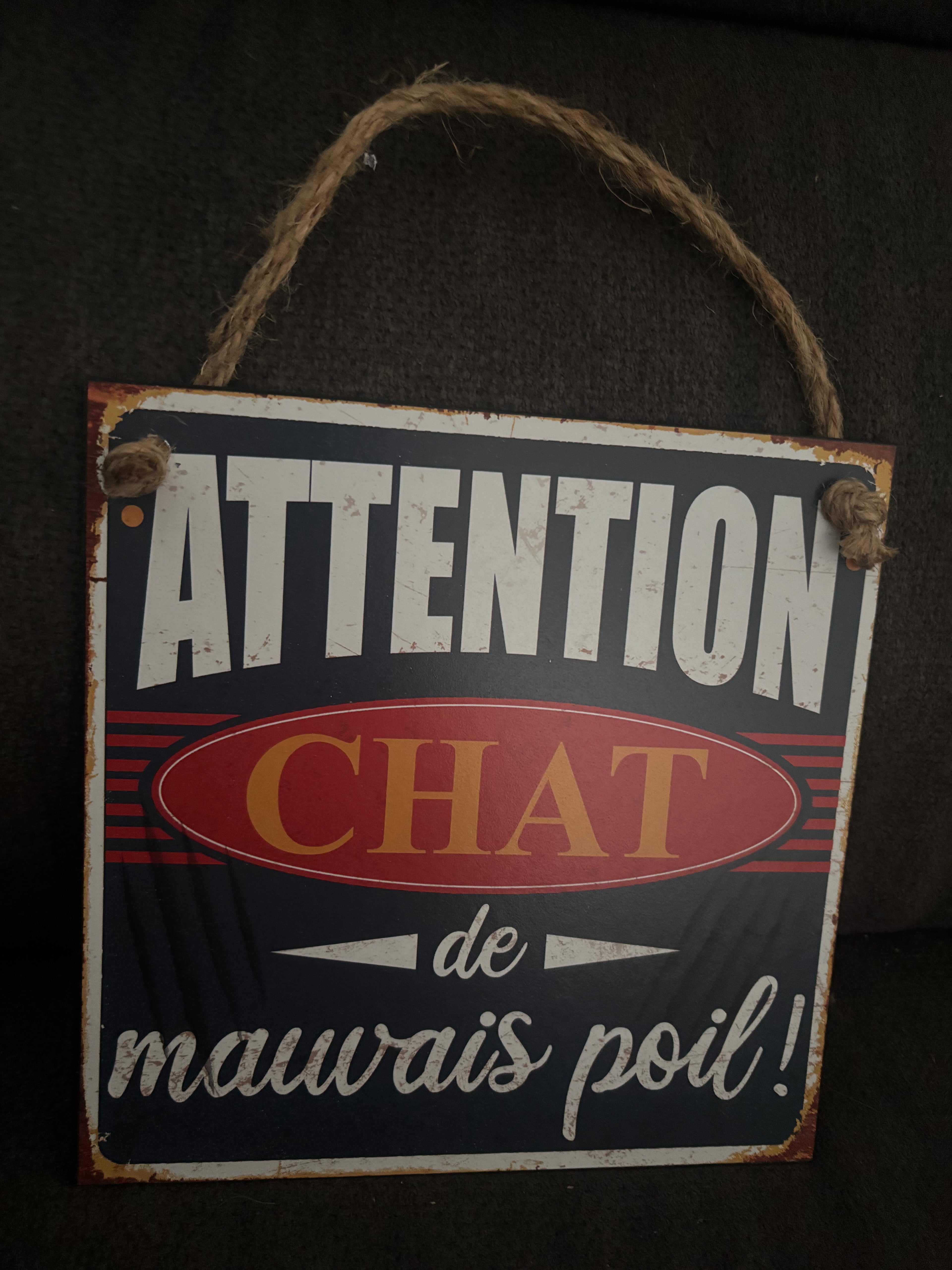 Plaque chat