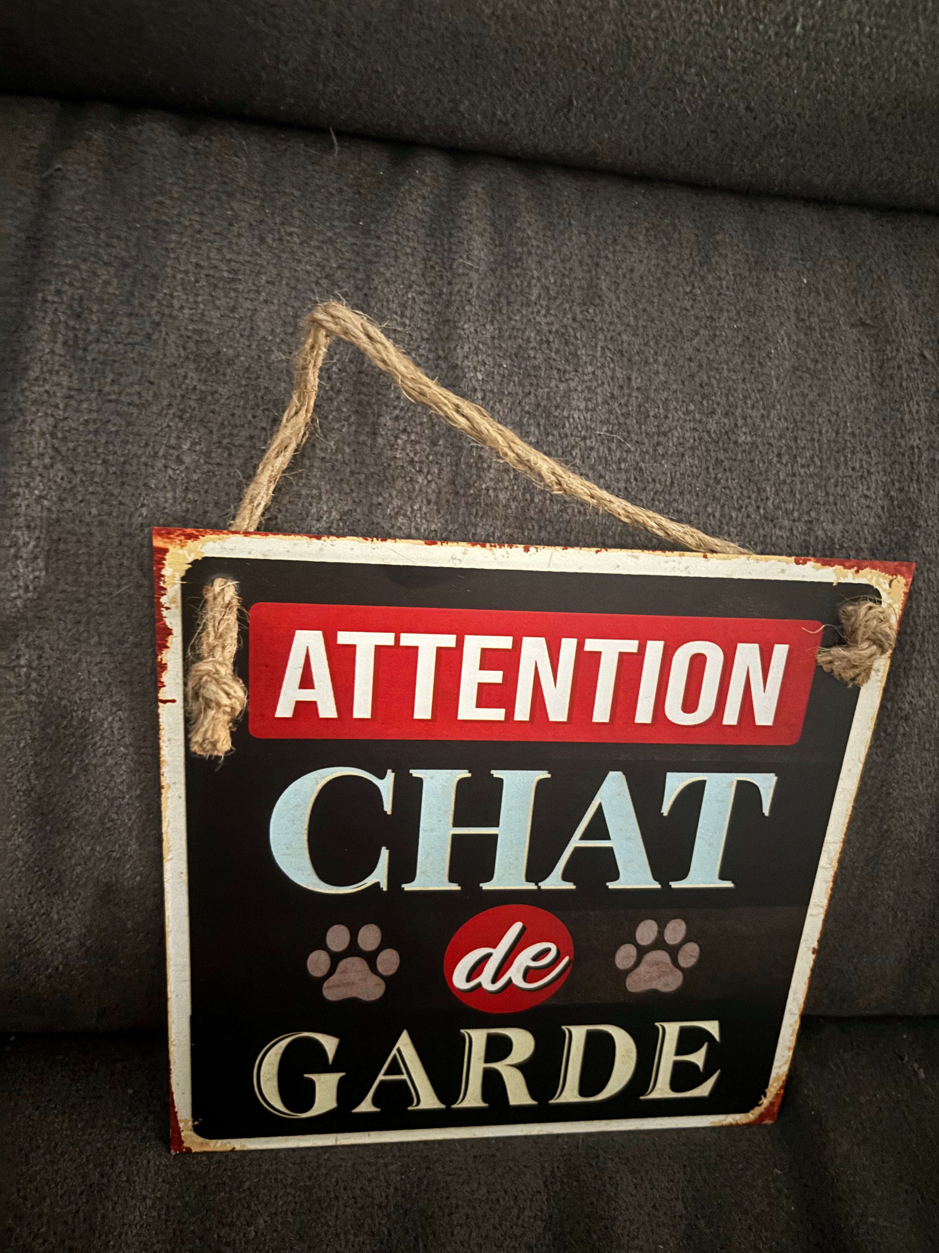 Plaque chat